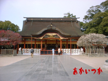 太宰府天満宮 太宰府天満宮