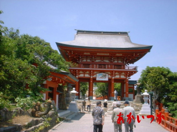 鵜戸神宮 鵜戸神宮