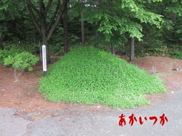 鎖塚2 鎖塚2