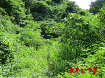 矢板トンネル 矢板トンネル